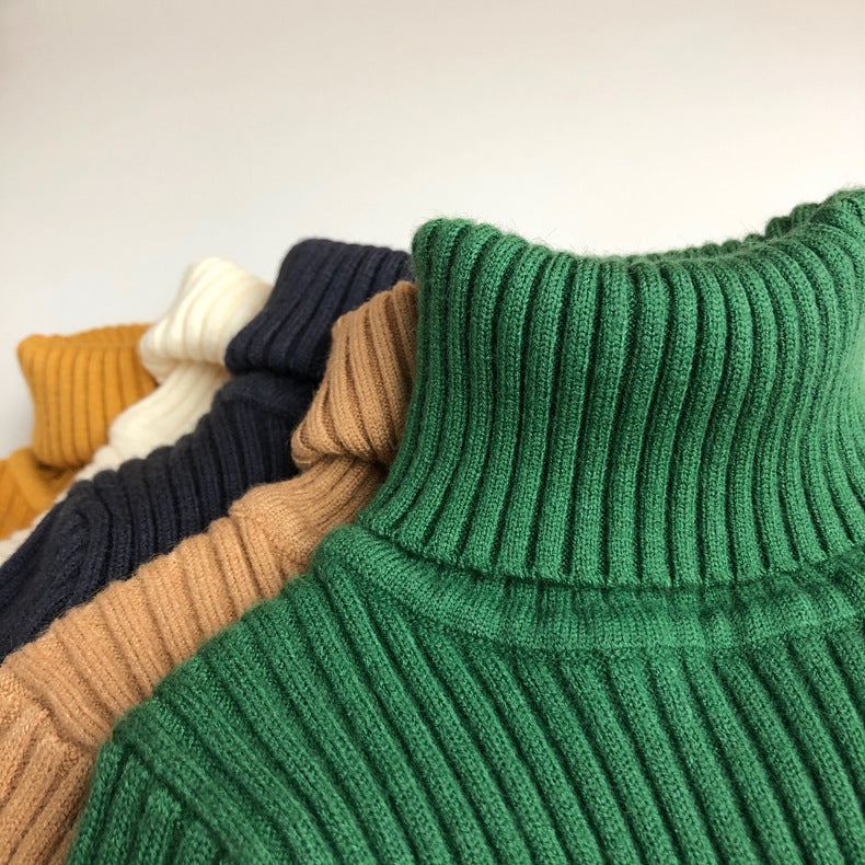 Turtleneck Knit Pullover